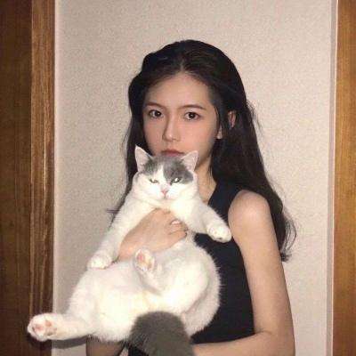 万国争霸破解版下载